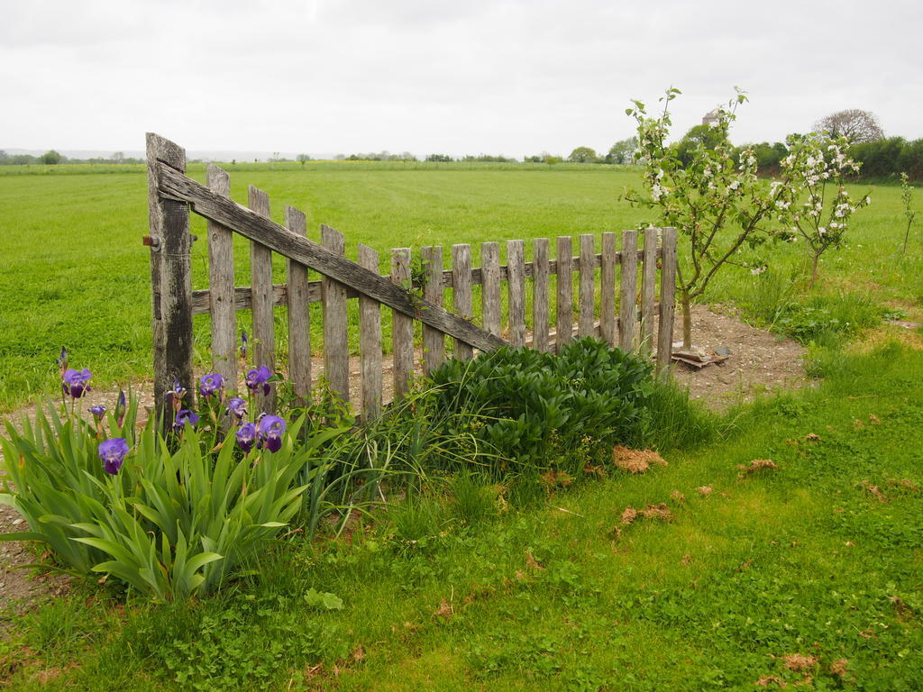 Maison Tombelaine Vains Bagian luar foto